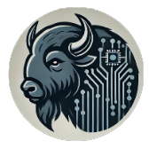 BisonCode Solutions